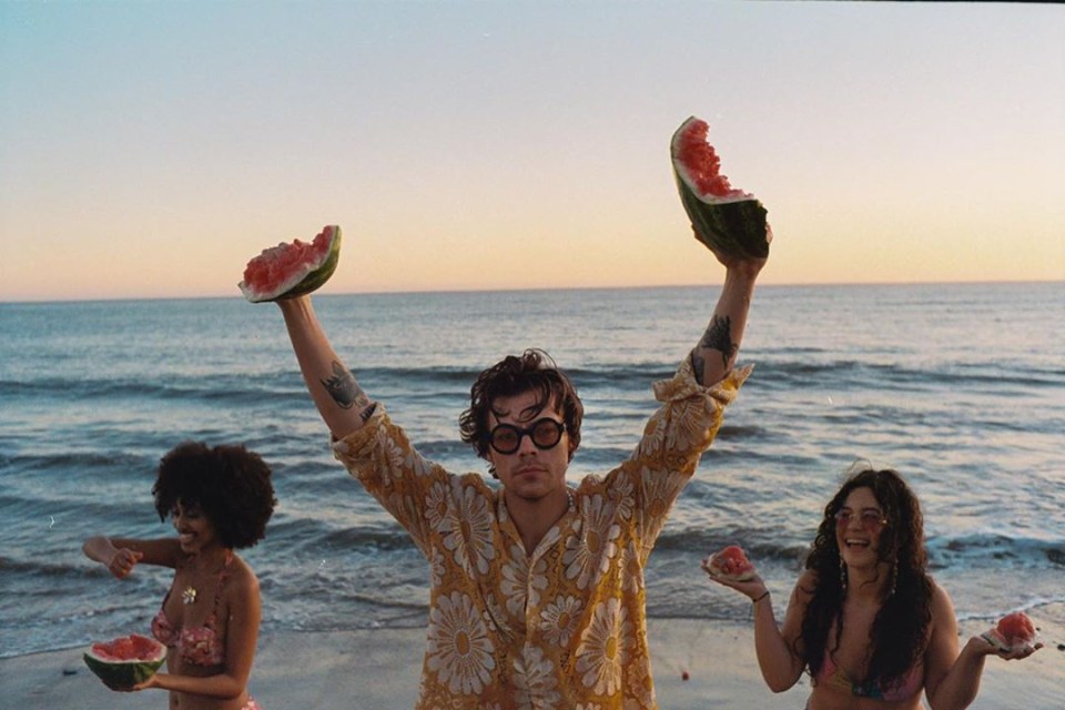 Harry Styles, 26,  posted about his new single, Watermelon Sugar, with a, erm, watermelon. 