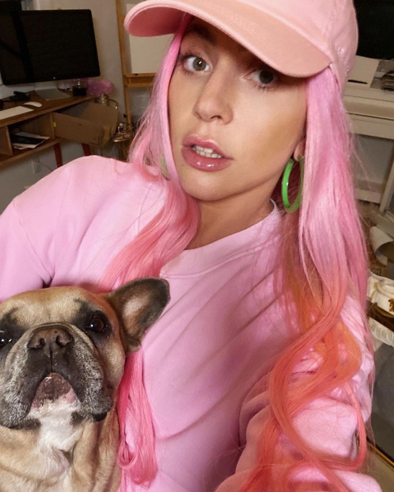 Lady Gaga shows off her new pink hair as she poses with her pooch 