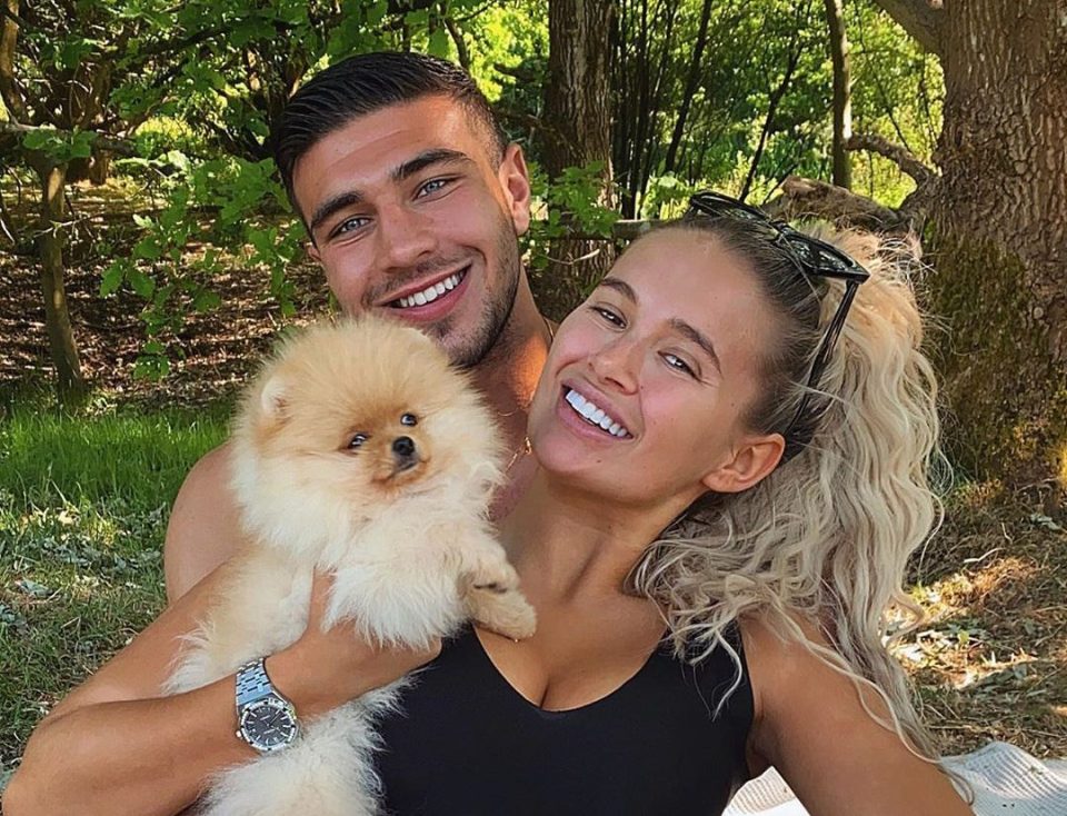  Molly-Mae Hague and Tommy Fury's puppy wasn't from a registered breeder