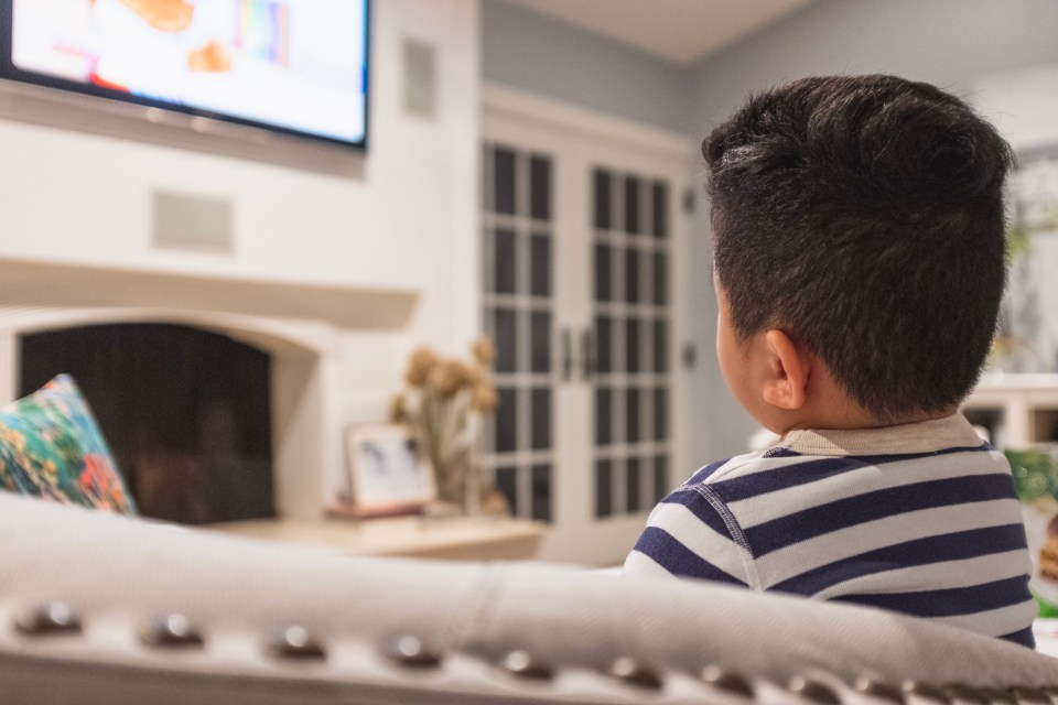 She said her two-and-a-half-year-old son would throw tantrums when she refused to let him watch TV or movies from early in the morning (file photo used)