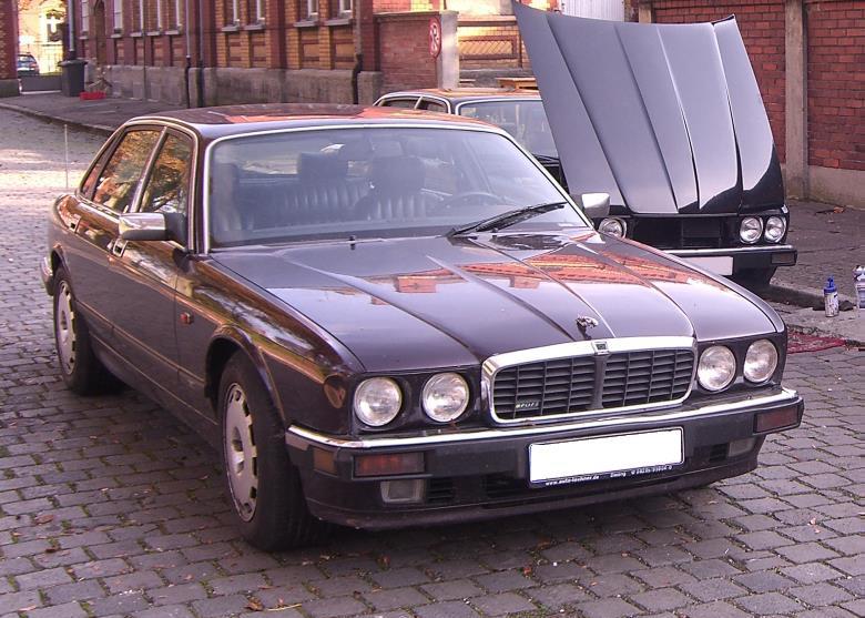 The Jaguar was seen in Portugal in 2006 and 2007