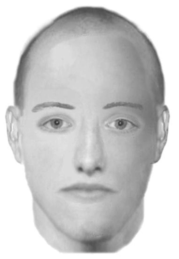 This efit circulated in 2011 was linked to Martin Ney at the time, but he has since been ruled out as a suspect. Cops say the new suspect is blonde