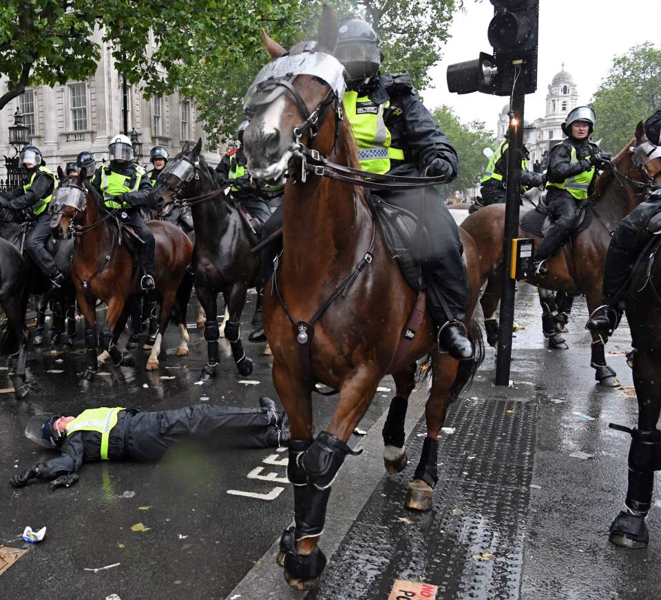  The police officer was hospitalised after being knocked out cold