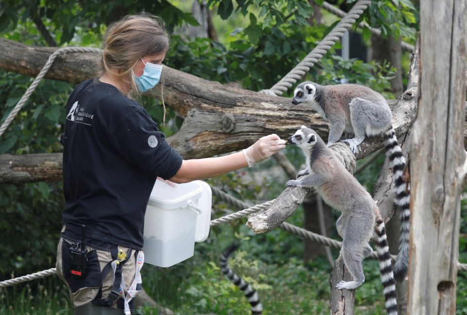  Zoos will reopen Monday