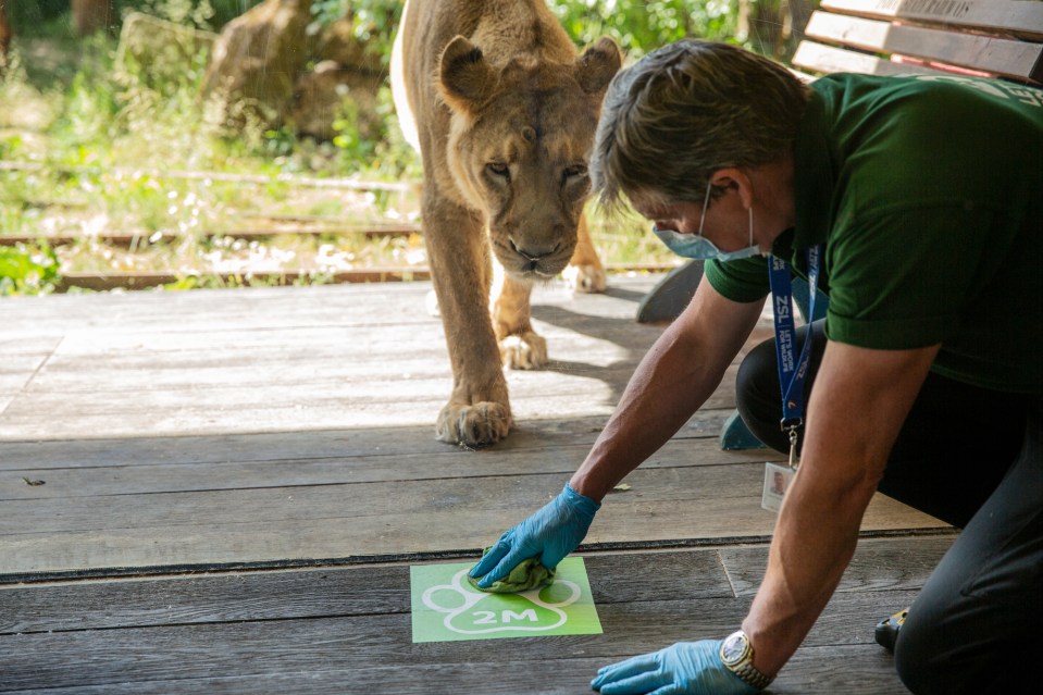 New signage will be in place when zoos reopen so that they comply with social distancing rules