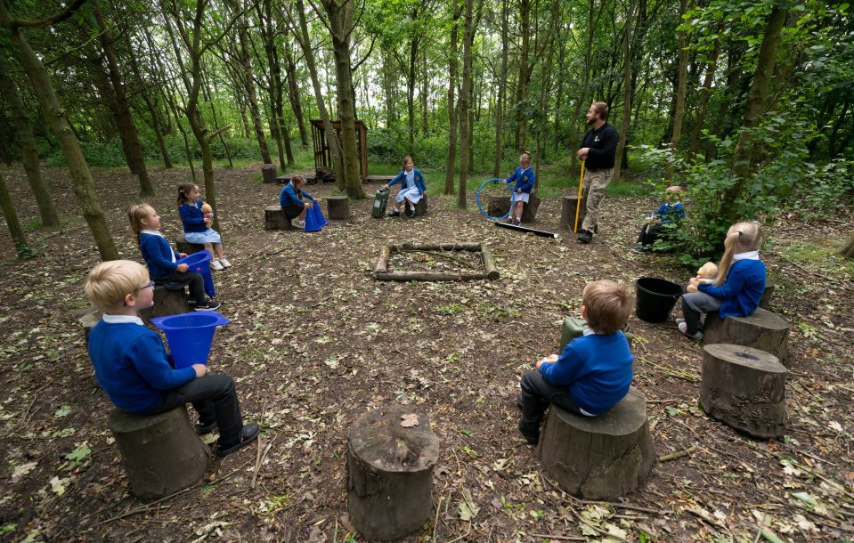  A Government source said they expect schools to reopen for 'more pupils' by September but are ­taking a 'cautious approach'