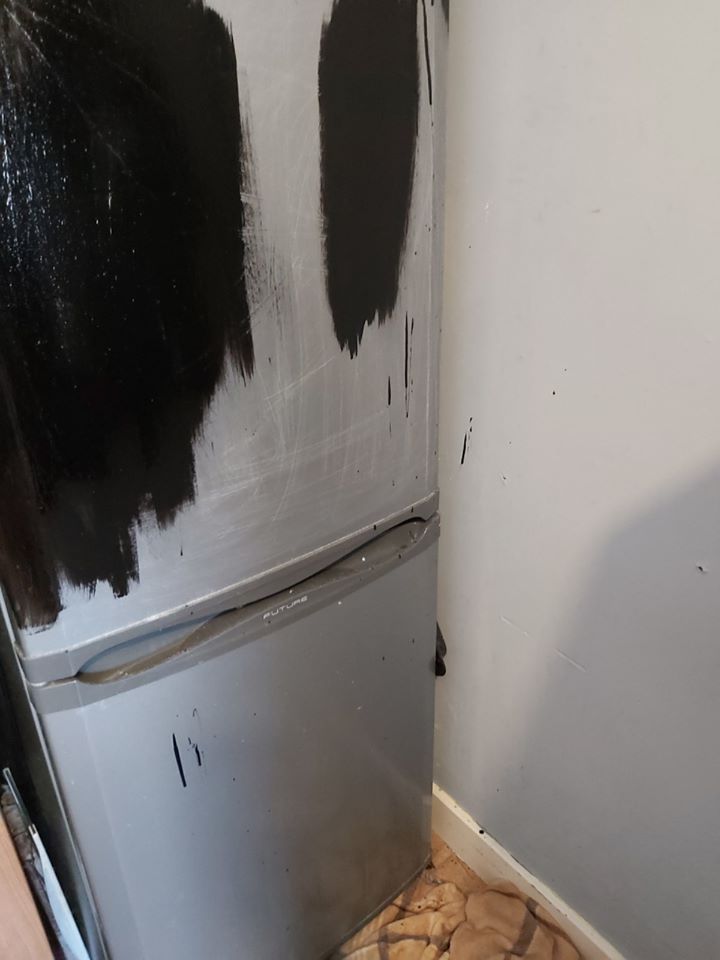 She initially tried to paint her fridge but admitted she 'messed up'