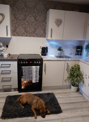 She used B&Q paint and vinyl from B&M to transform her kitchen