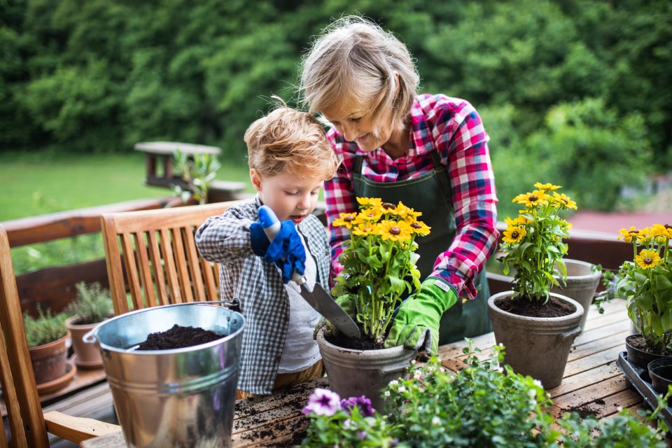 One large pot can add more impact to your garden than lots of small ones