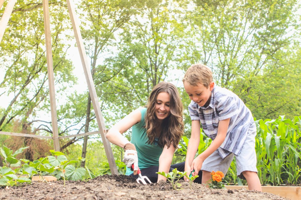 Try planting blue plants to give an effect of looking out towards the horizon