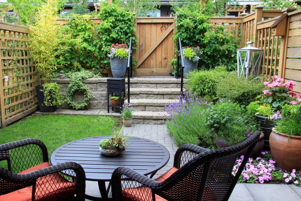 Transforming your garden doesn't have to cost a fortune