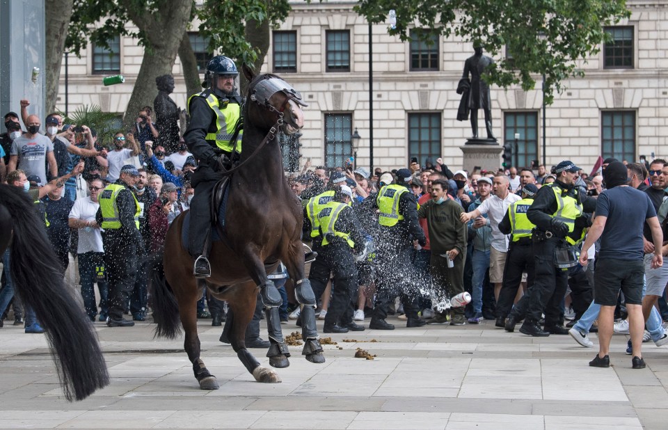 Violent clashes erupted in central London with bottles and cans thrown at police (those pictured are not necessarily supporters of the DFLA)