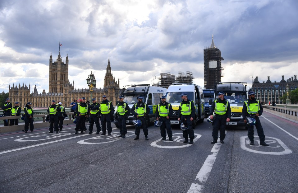 Cops lined up on Westminster Bridge as they went up against multiple protest groups