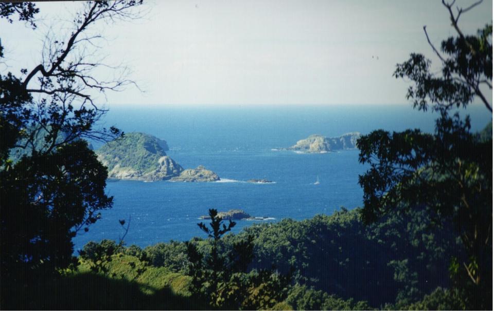 The Kermadec Islands are a chain of submarine volcanoes near NZ