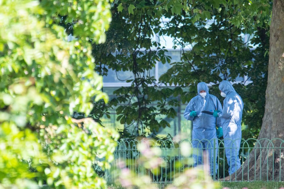 Forensic officers examine the scene