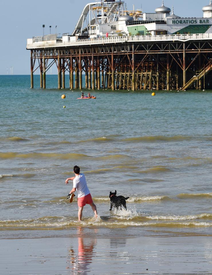 A man and his dog enjoy the hot sunshine on Brighton beach early this morning