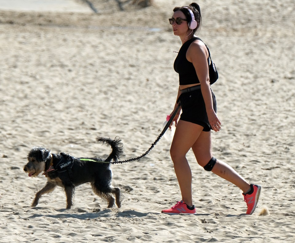 A dog walker taking a stroll on Branksome Beach