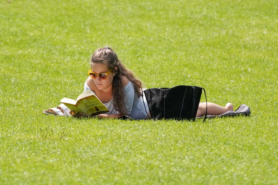 Others relaxed with book in the park