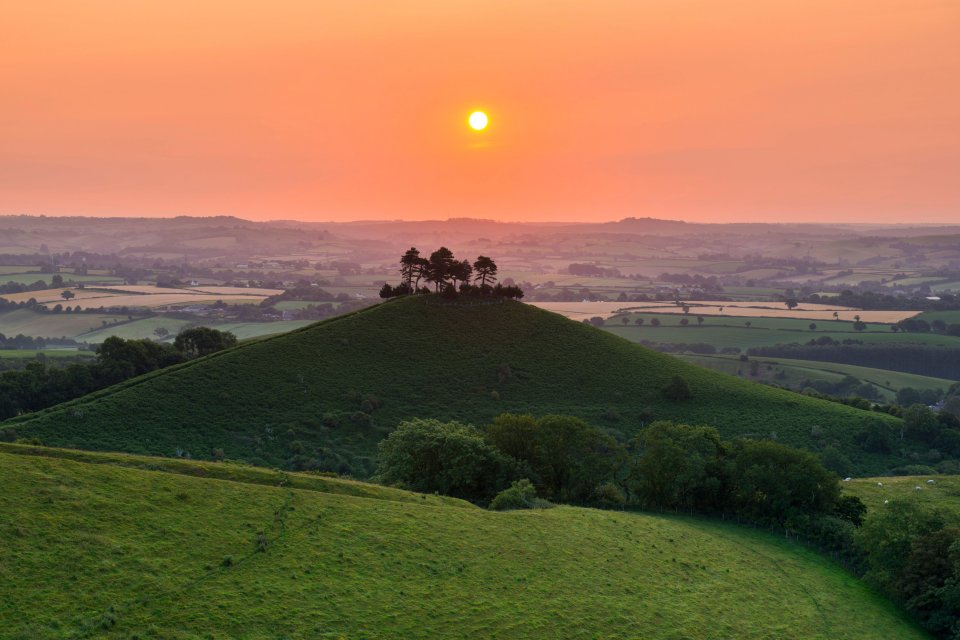 The sun rising in to the hazy sky above Colmers Hill near Bridport in Dorset