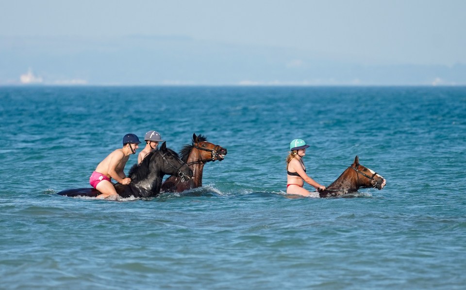  Horse riders in the water at Bracklesham Bay in West Sussex