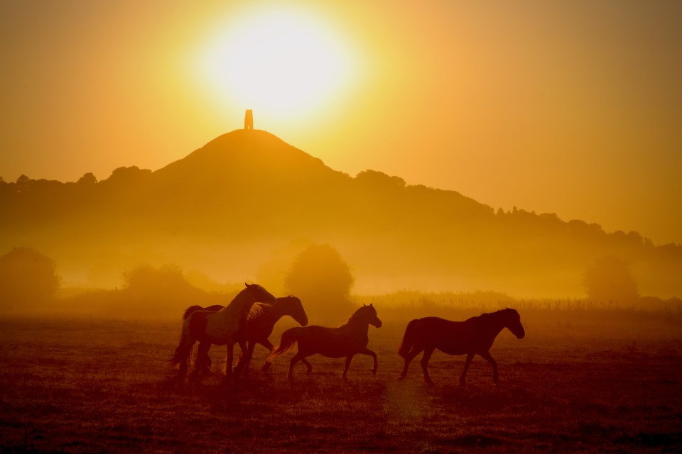 The sun rises over Glastonbury on what would have been the first day of the festival's 50th year