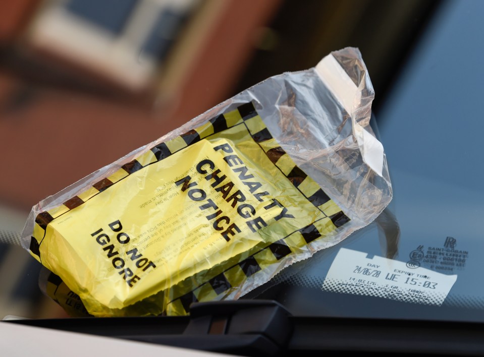  The former soap star received the dreaded yellow ticket that everyone hates to see when they return to their parked car