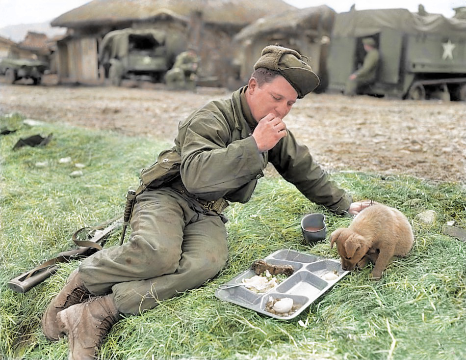 A soldier shares his grub with a street pup