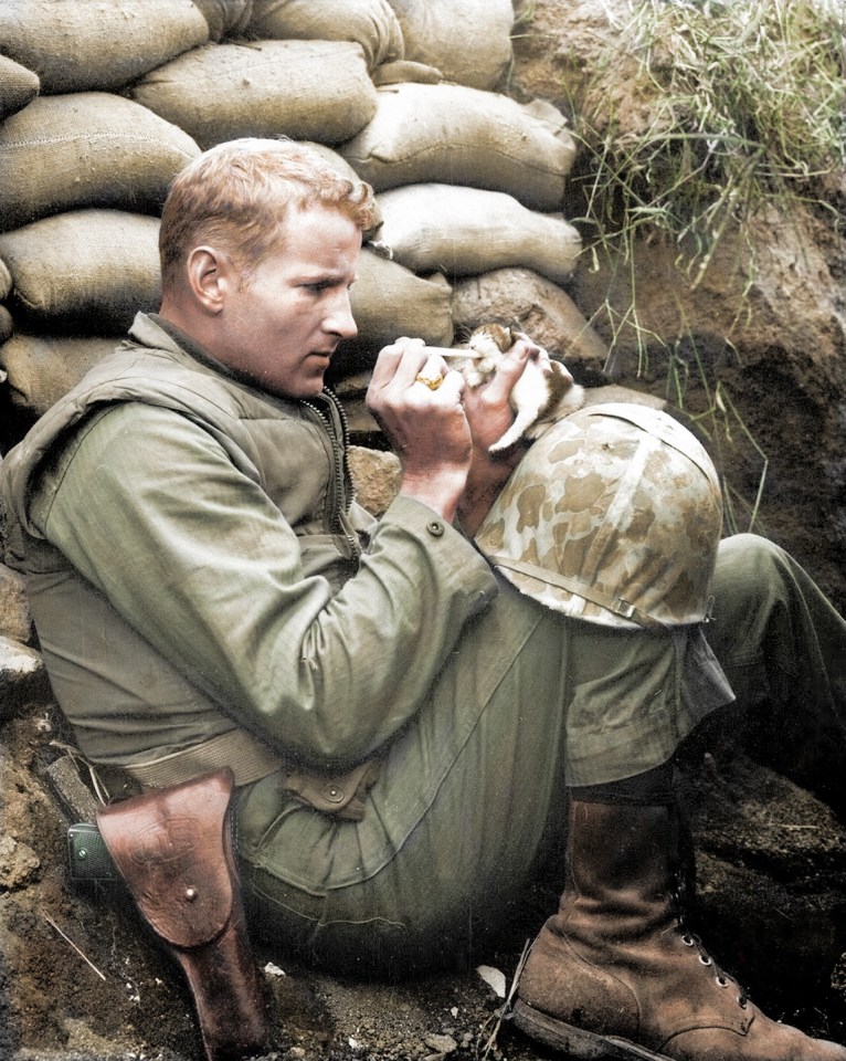 A Marine takes time out to feed a newborn kitten