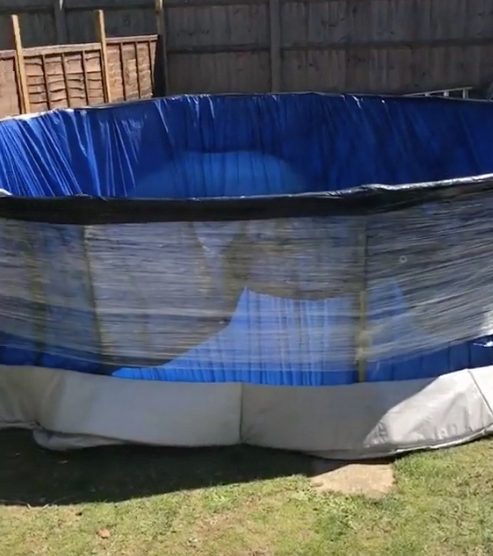  In a viral clip shared on TikTok, the clever woman shows how her family built the pool