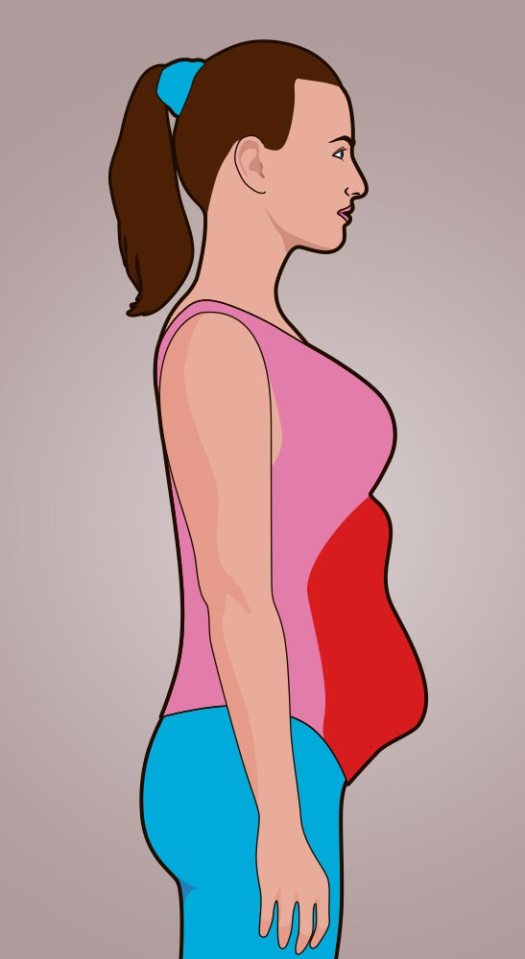 Carrying excess weight higher up can be a sign your gut health is not all it should be