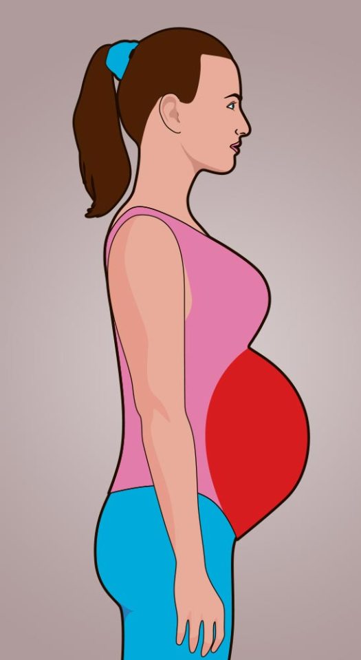 A tubby belly can appear like a spare tyre and means your body is storing excess fat