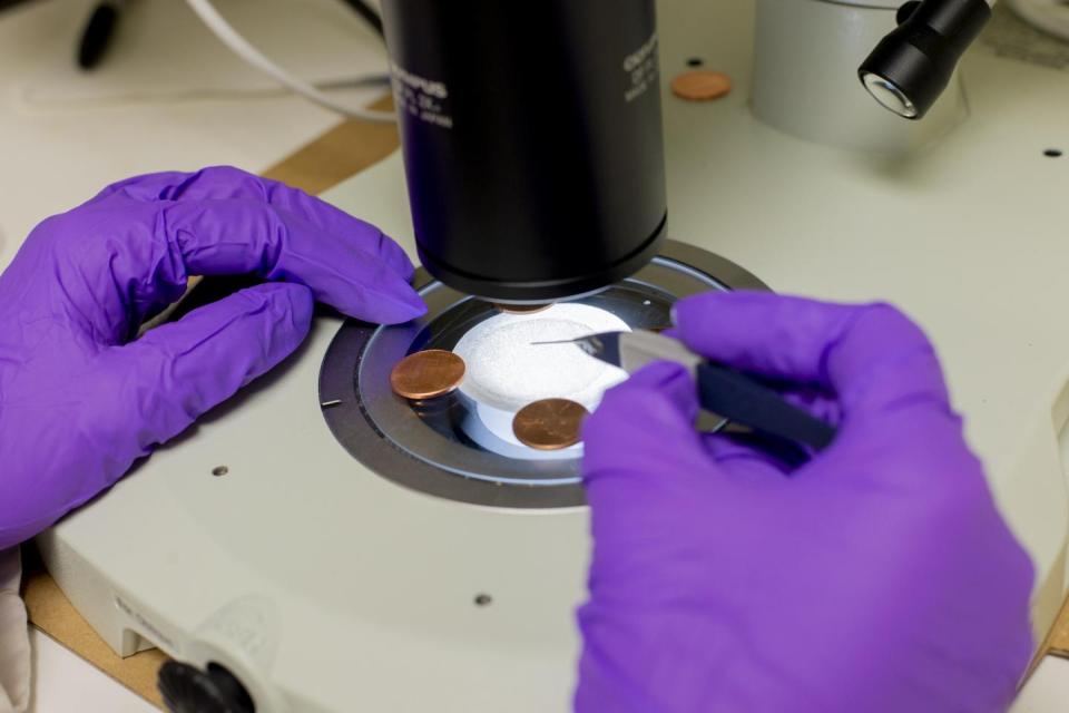 The researchers left filters at the sites and then examined them for plastic, pennies are used to hold each filter in place on the microscope