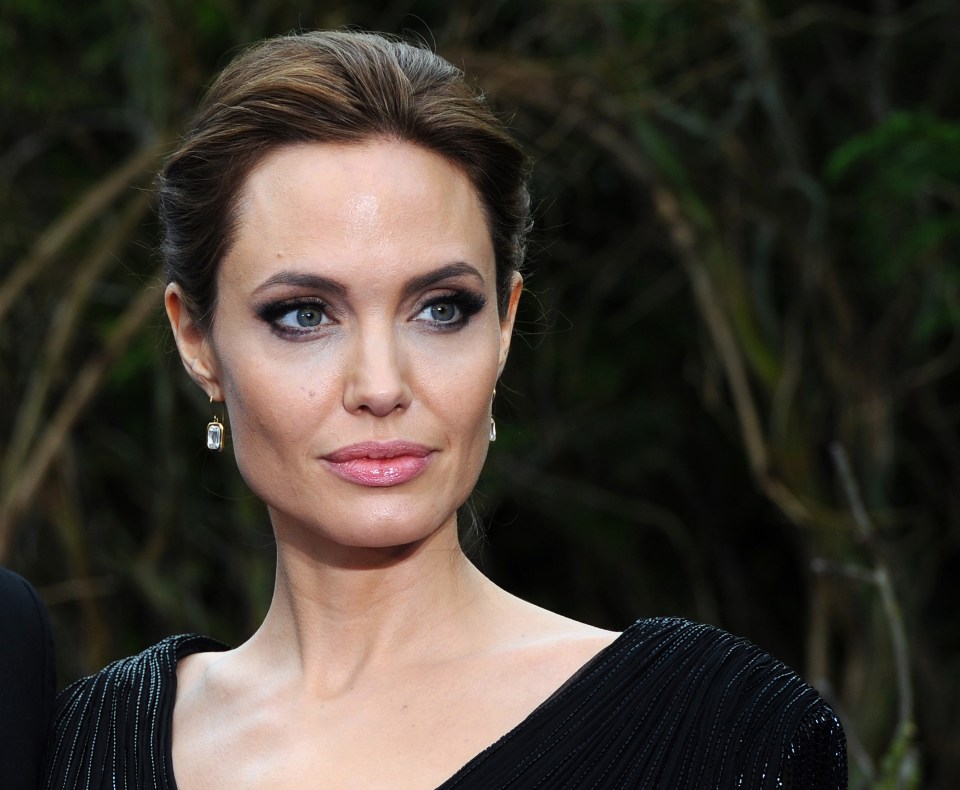 Testing women for the 'Angelina Jolie Gene' could save thousands of lives, Actress Jolie had her breasts and ovaries removed after she tested positive for BRCA1