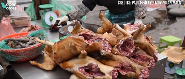 Skninned dogs lay on the table at a wet market