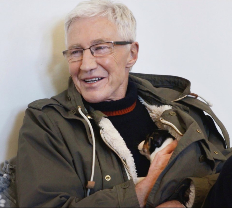 Paul with puppy Dinky on For The Love Of Dogs earlier this month