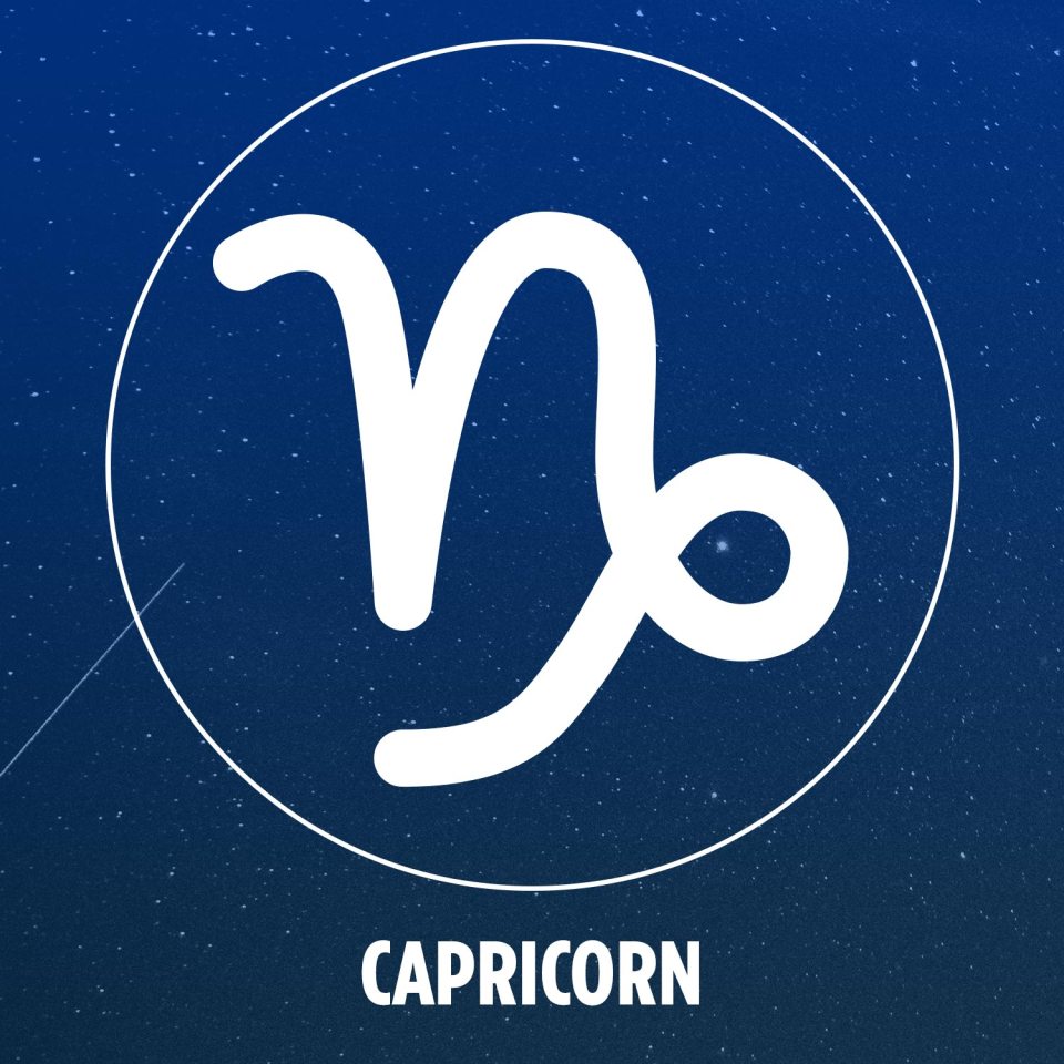  Determined and hardworking with a secret sensitive side, Capricorns are represented by a sea-goat