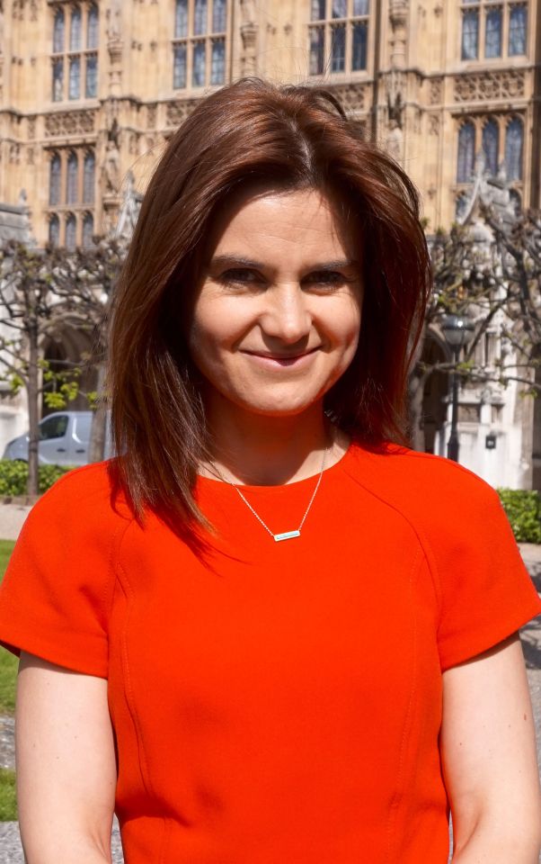 Labour MP Jo Cox was murdered in 2016 by Nazi-obsessed Thomas Mair