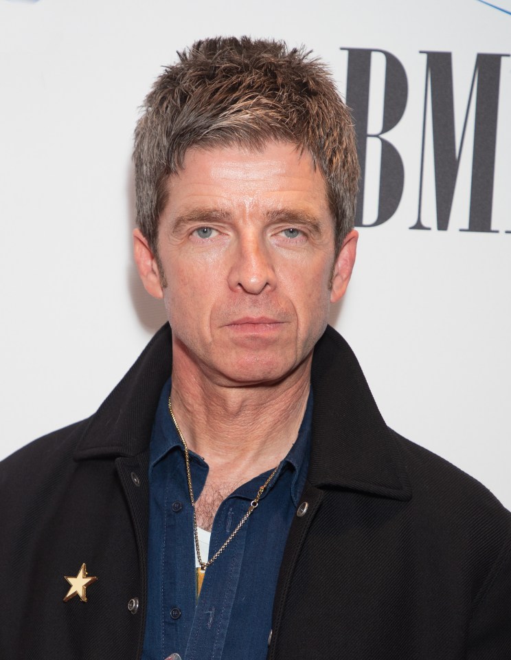 Noel Gallagher says he didn't want to meet Adele