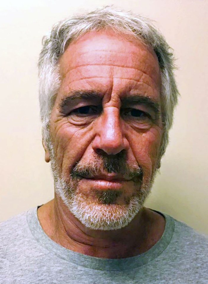 Epstein's death by hanging sparked theories he was silenced to stop him selling out paedo friends