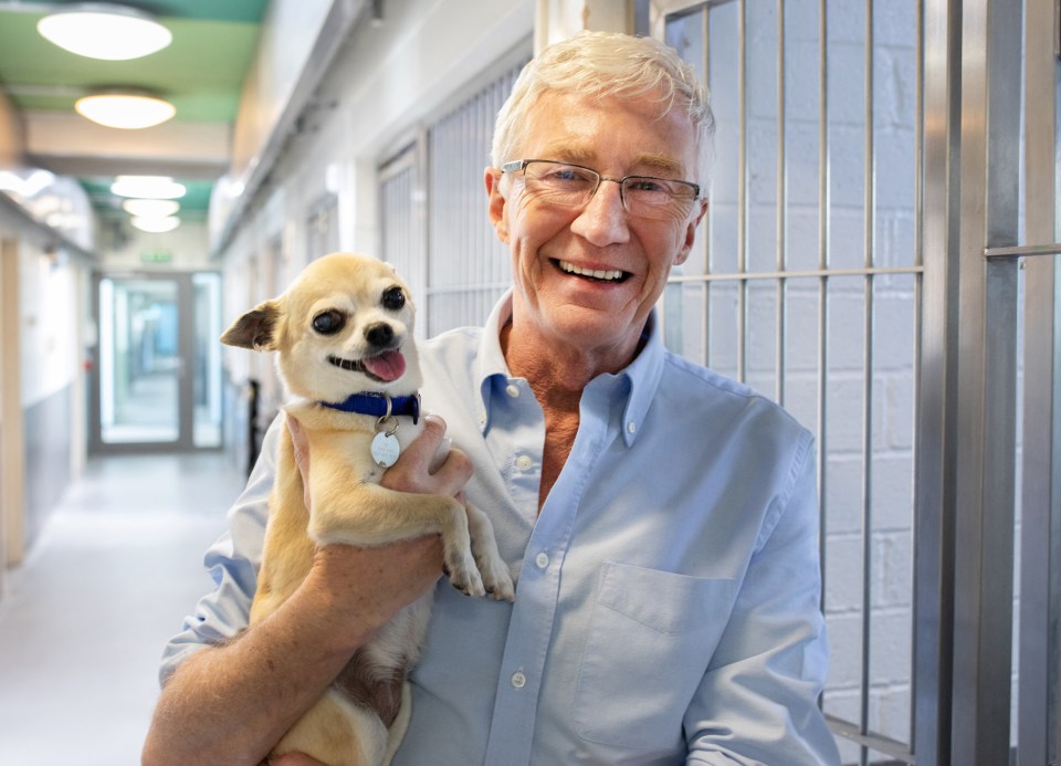 Recently Paul has hosted For The Love Of Dogs, filmed in London’s Battersea Dogs’ Home