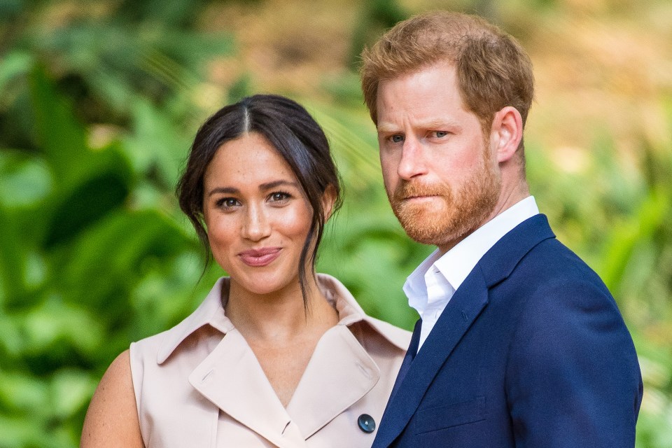  Let's expose the fibs in Harry and Meghan's Finding Freedom book.