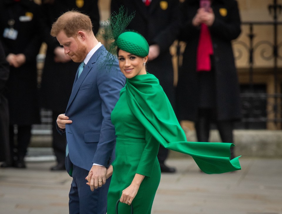 Harry and Meghan are keen to boost sustainable travel  