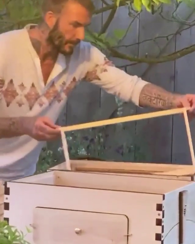  Victoria shared video of him making his own hives