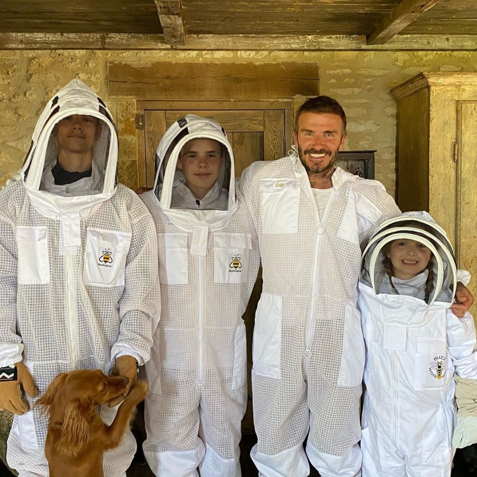  David has become a keen beekeeper