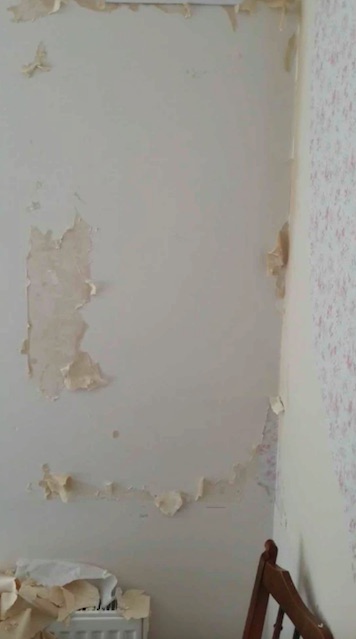 She claimed she stripped a wall in 10 minutes and had the bedroom done in an hour