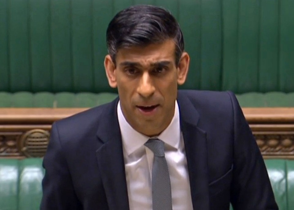 Rishi Sunak revealed his radical plans today to MPs