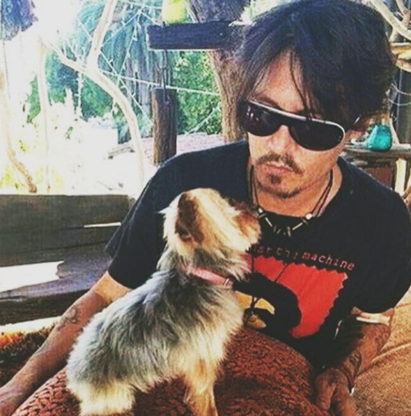 Movie star Depp said he did not believe the excrement had been left by one of the dogs