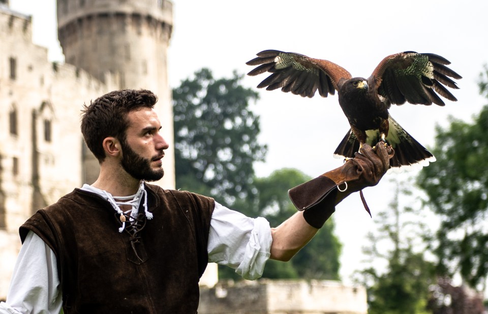 We take our front-row seats to watch the critically acclaimed Falconer’s Quest show, featuring the UK’s largest birds of prey