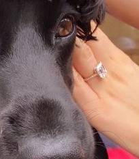 Nicola shared a close-up of her £250k ring after the proposal