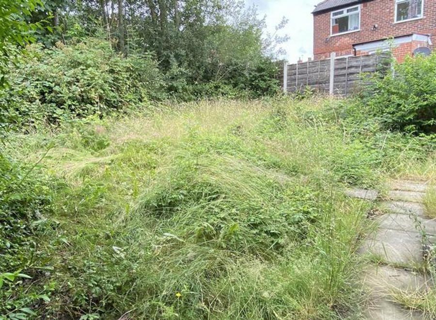 Its garden is overgrown and will need to be hacked back